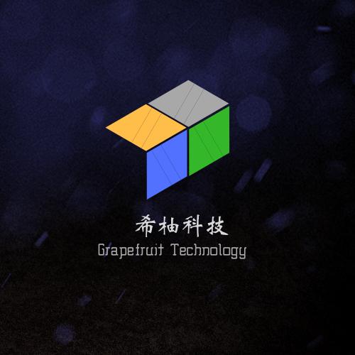 上海希柚信息科技 在數(shù)字化浪潮中鑄就信息科技新未來